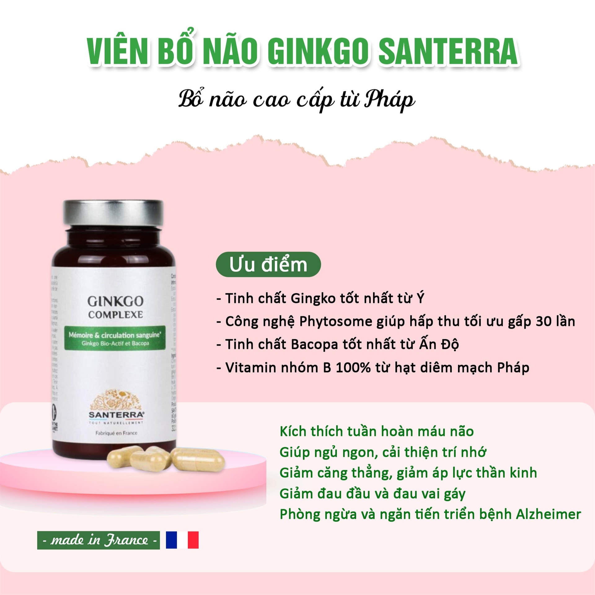 Ginko Santerra